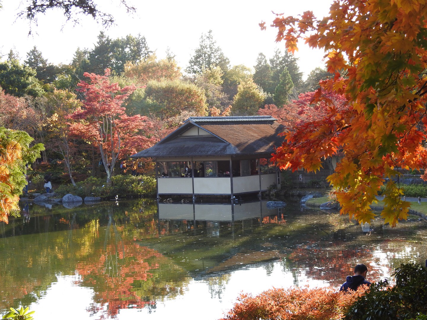 季節は秋 そうだ紅葉を見よう あみはりきゅう整骨院グループ